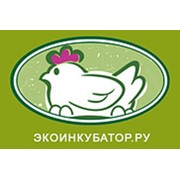 Логотип компании Интернет - магазин “Ecoincubator“ (Киров)