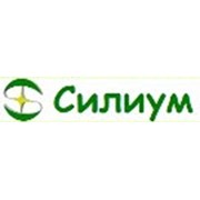Логотип компании Силиум, ООО (Люберцы)