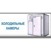 Логотип компании Холод ВЕКА (Краснообск)