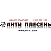 Логотип компании Анти плесень (Киев)