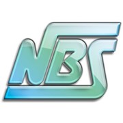 Логотип компании National Business Solutions (NBS), ООО (Киев)