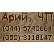 Логотип компании Арий, ЧП (Киев)