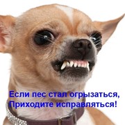 Логотип компании Дрессировка собак с проблемным поведениeм, ЧП (Киев)