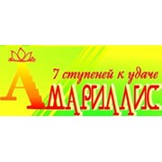 Логотип компании Амариллис, ИП (Ростов-на-Дону)