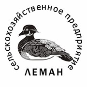 Логотип компании Частное сельскохозяйственное предприятие Леман, ЧП (Крысино)