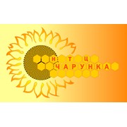 Логотип компании НТЦ “Чарунка“ (Харьков)