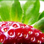 Логотип компании Саженцы ягодных культур и декоративных растений (Йошкар-Ола)