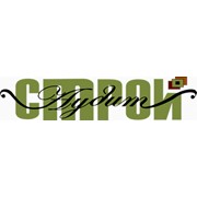 Логотип компании Аудиторская фирма СтройАудит, ООО (Харьков)