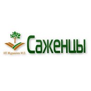 Логотип компании Журавлев, ИП (Усть-Каменогорск)
