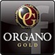 Логотип компании ORGANO GOLD (Астана)