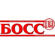 Логотип компании Босс Агро (Лотарев), ИП (Усть-Каменогорск)