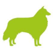 Логотип компании Школа для собак РЭССИ,ЧП (Киев)