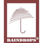 Логотип компании RAINDROPS (Санкт-Петербург)