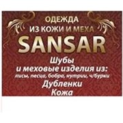 Логотип компании SANSAR (Донецк)