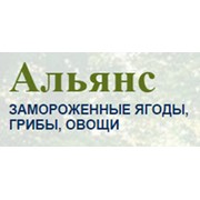 Логотип компании Альянс, ООО (Арамиль)