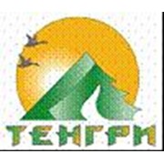 Логотип компании Тенгри, ООО (Белорецк)