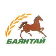 Логотип компании Баянтай, ТОО (Саумалколь)