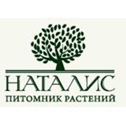 Логотип компании Питомник растений Наталис, ООО (Забучье)