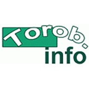 Логотип компании Тороб инфо, ООО (Москва)