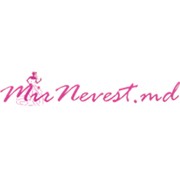Логотип компании MirNevest, SRL (Кишинев)