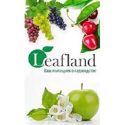 Логотип компании LeafLand (Харьков)