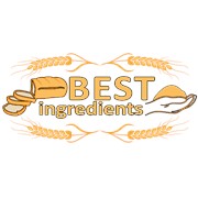 Логотип компании Бест Ингредиентс, ООО (Киев)