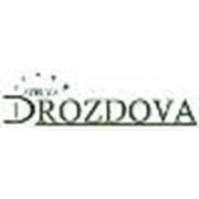 Логотип компании Дроздова стеля, ЧП (Киев)