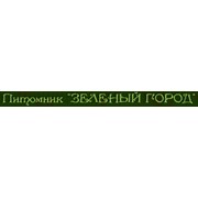 Логотип компании Щенки таксы стандартной жесткошерстной,Ип (Москва)