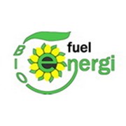 Логотип компании Bio Fuel Energy (Био Фьюэл Енерджи), ЧП (Одесса)