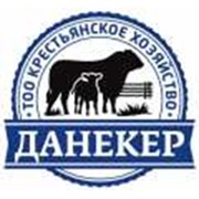 Логотип компании Данекер, ТОО (Павлодар)