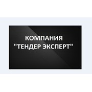 Логотип компании Тендер Эксперт (Воронеж)