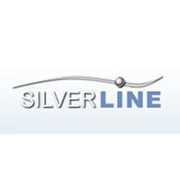 Логотип компании Сильверлайн, ООО (Москва)