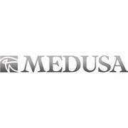 Логотип компании Медуза, Рекламное агентство (Минск)