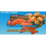 Логотип компании Николай Анатольевич, ЧП (Черкассы)