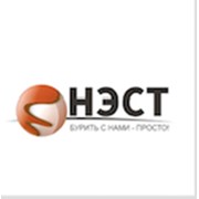 Логотип компании СК НЭСТ (Санкт-Петербург)