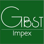 Логотип компании GBST-IMPEX SRL (Кишинев)