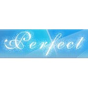 Логотип компании Перфект, ЧП (Донецк)