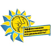 Логотип компании Эффект-Плюс, ООО (Житомир)