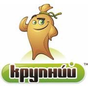 Логотип компании Крупный, СПД (Коростень)