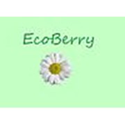 Логотип компании EcoBerry (Москва)