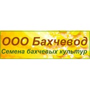 Логотип компании Селекционно-семеноводческое хозяйство Бахчевод, ООО (Волгоград)