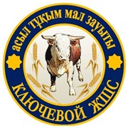Логотип компании Ключевое, ТОО (Новопавловка)