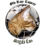 Логотип компании Питомник бенгальских кошек Old Race, ЧП (Харьков)