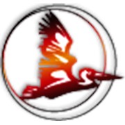 Логотип компании Пеликан (Хлебопекарное и кондитерское оборудование), ЧП (Смела)