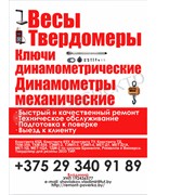 Логотип компании Ремонт средств измерений (Минск)
