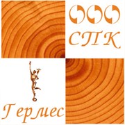 Логотип компании СПК-Гермес, ООО (Москва)