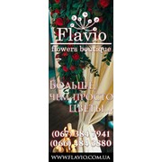 Логотип компании Flavio цветочный бутик, ЧП (Кременчуг)