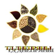 Логотип компании Днепряны ТД, ООО (Днепряны)