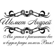Логотип компании Шемет А., ИП (Минск)