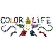 Логотип компании Колор Лайф (Color Life), ЧП (Севастополь)